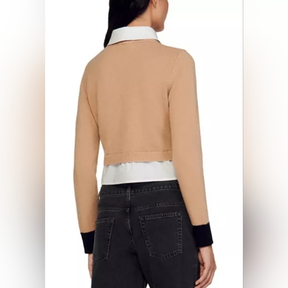 Sandro Dal Collard Wool/Cashmere Bleand Sweater - Picture 8 of 10